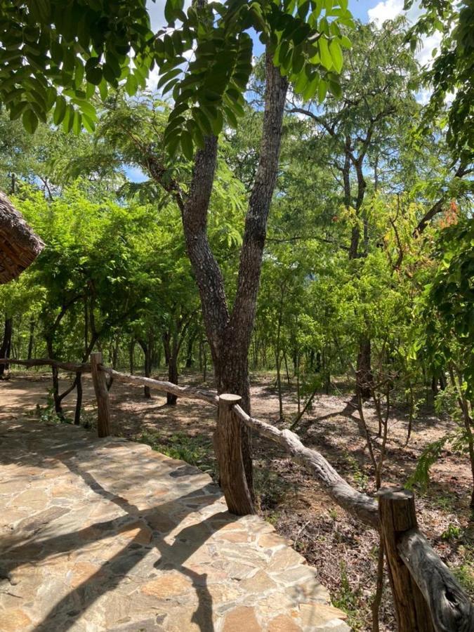 Отель Lemara Eco Camp Kisaki Экстерьер фото